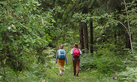 Image from Willamette Wellness Center