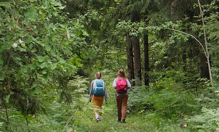 Image from Willamette Wellness Center